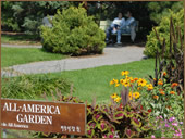 photo of green areas